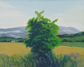 Jon Spilde Jon Spilde