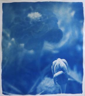 Helle Cathrine Gran